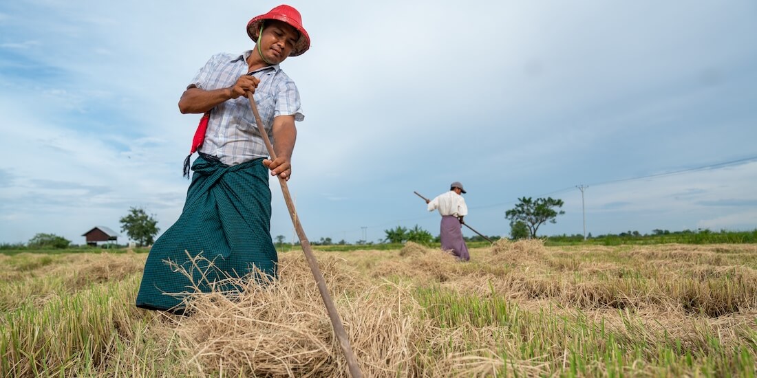 Proximity Designs’ founders believe deeply in living among those whom they serve, so they moved to Myanmar in 2004 to address the neglected needs of rural farmers. Photo by Rita Khin, courtesy of Proximity Designs.... sustainable agriculture practices proximity designs