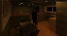 INTERIOR NOCTURNO