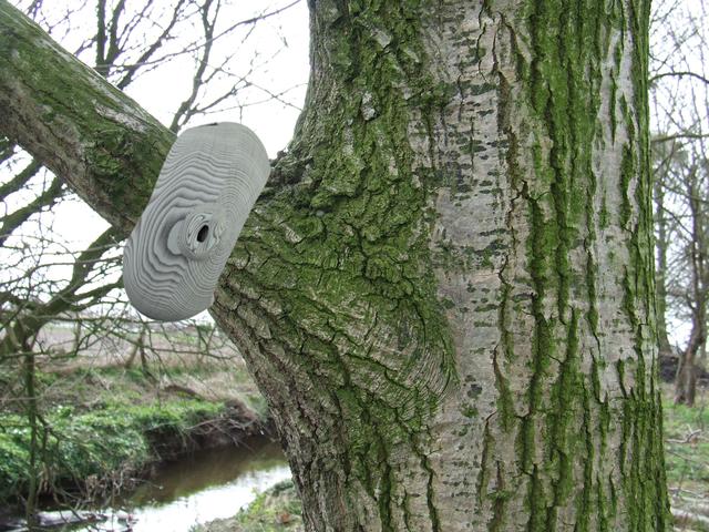Camo Camera on a tree branch Camo Camera on a tree branch